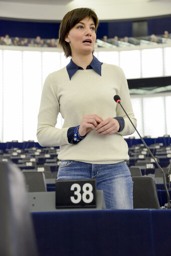 Zdjęcie 27: Plenary session week 07 2015 in Strasbourg - European Youth Initiative (modification of the ESF regulation)