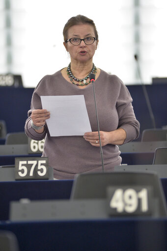 Plenary session week 07 2015 in Strasbourg - European Youth Initiative (modification of the ESF regulation)