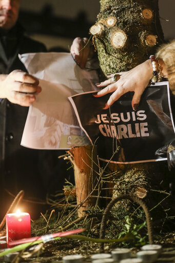 Photo 11: Tribute demonstration for the victims of the attack against Charlie Hebdo
