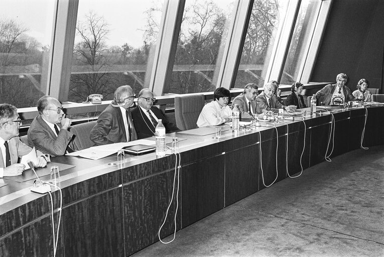 Meeting at the European Parliament in Strasbourg