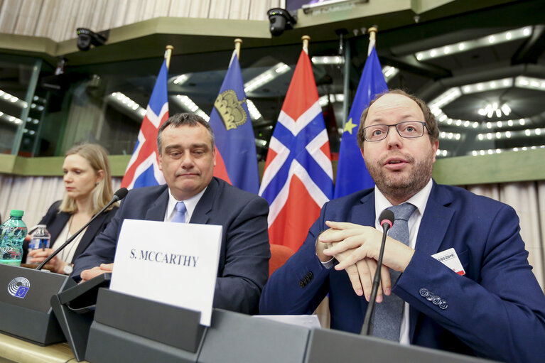 Foto 3: 52nd Joint Parliamentary meeting of the European Economic Area