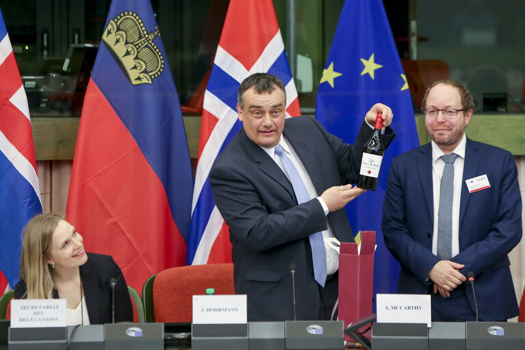 Foto 2: 52nd Joint Parliamentary meeting of the European Economic Area