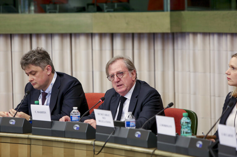 Foto 1: 52nd Joint Parliamentary meeting of the European Economic Area