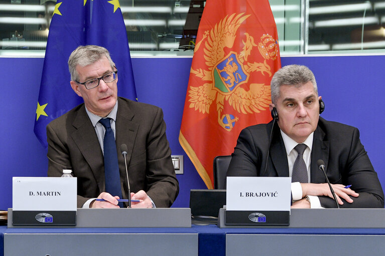 17th EU-Montenegro Stabilisation and Association Parliamentary Committee (SAPC)