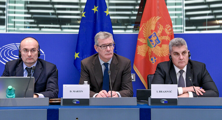 17th EU-Montenegro Stabilisation and Association Parliamentary Committee (SAPC)