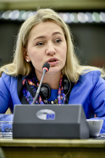 Photo 3 : 9th EU-Ukraine Parliamentary Association Committee