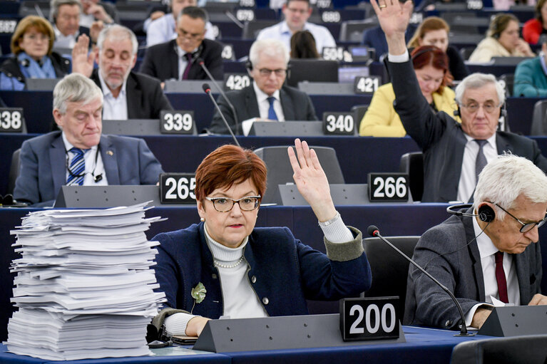 Fotografia 1: Ingeborg GRASSLE in the EP in Strasbourg