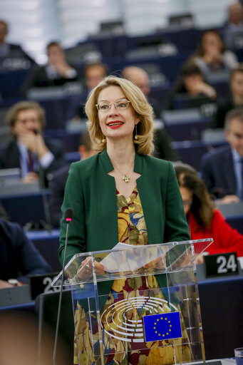 Photo 14 : Plenary session - The UK’s withdrawal from the EU