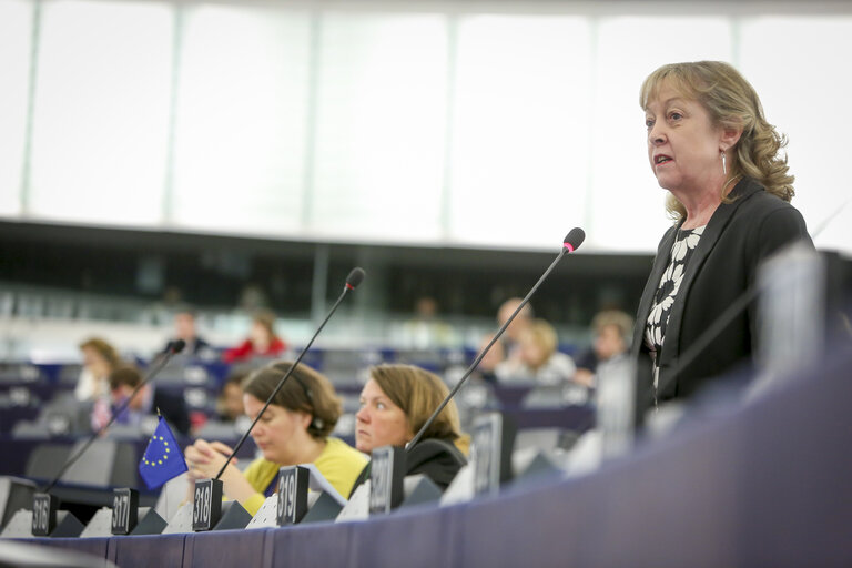 Fotografija 47: Plenary session - The UK’s withdrawal from the EU