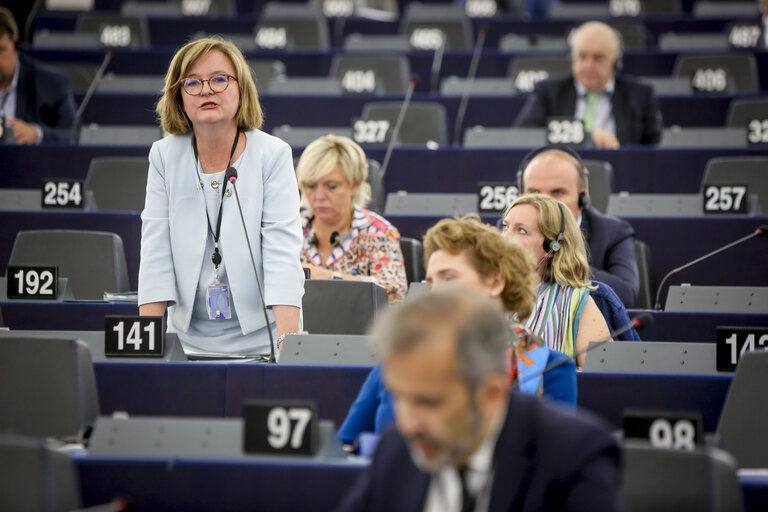 Fotografie 36: Plenary session - The UK’s withdrawal from the EU