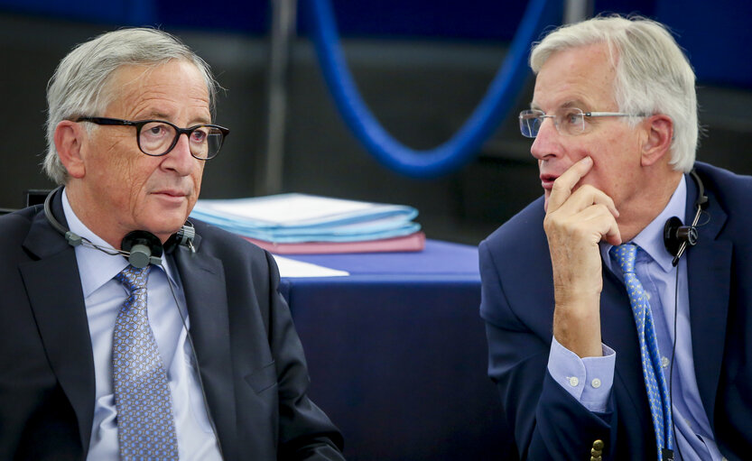 Fotografie 35: Plenary session - The UK’s withdrawal from the EU