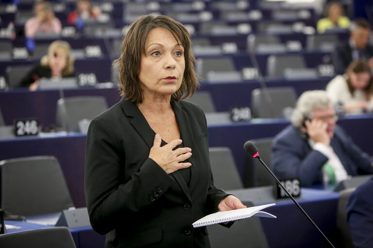 Photo 28 : Plenary session - The UK’s withdrawal from the EU