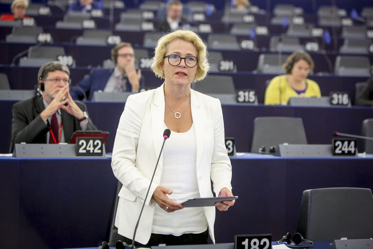 Fotografija 19: Plenary session - The UK’s withdrawal from the EU