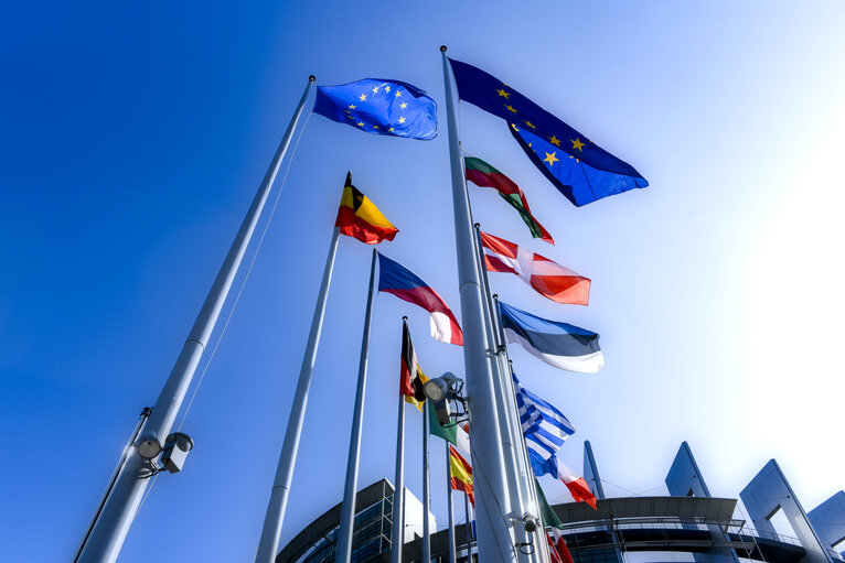 Photo 11: Flags waving in front of the European Parliament in Strasbourg