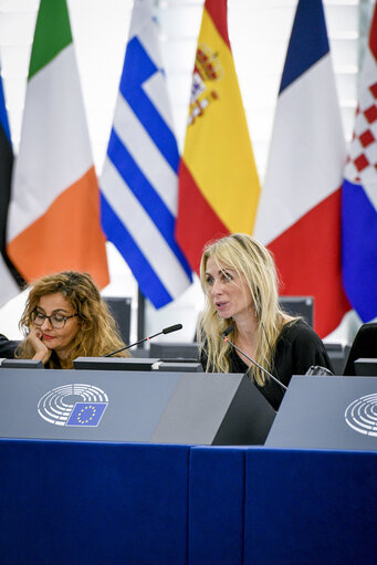 Plenary session - Commission statement - Threats to the status of volunteer firefighters in the European Union