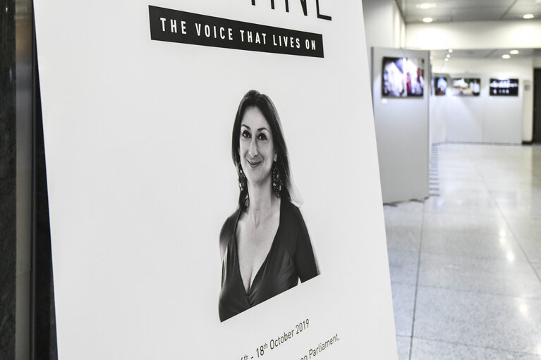 Exhibition on murdered journalist Daphne Caruana Galizia : ' Daphne – The Voice that Lives On '