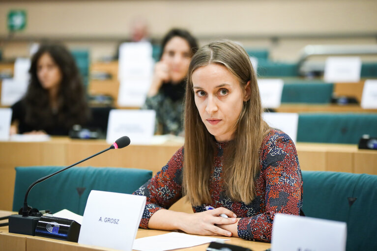 Fotó 5: Meeting of the Delegation for relations with the Maghreb countries and the Arab Maghreb Union in the presence of the Ambassador of Mauritania