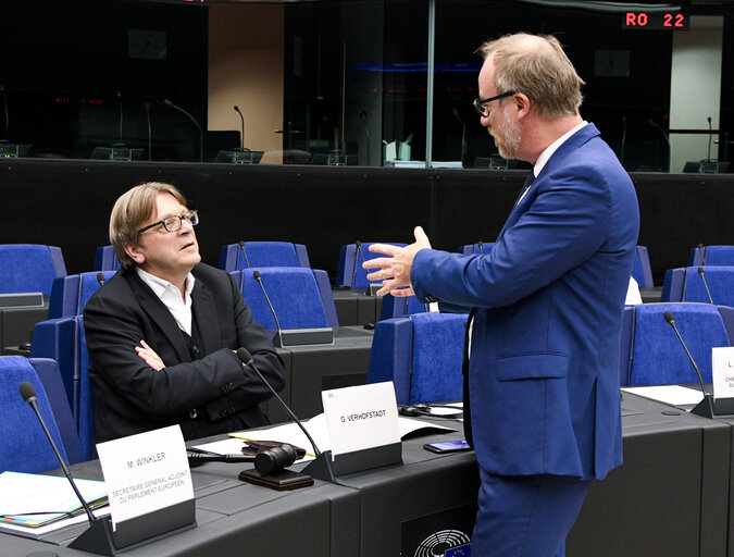 Zdjęcie 7: Meeting of the EP Brexit Steering Group (BSG)