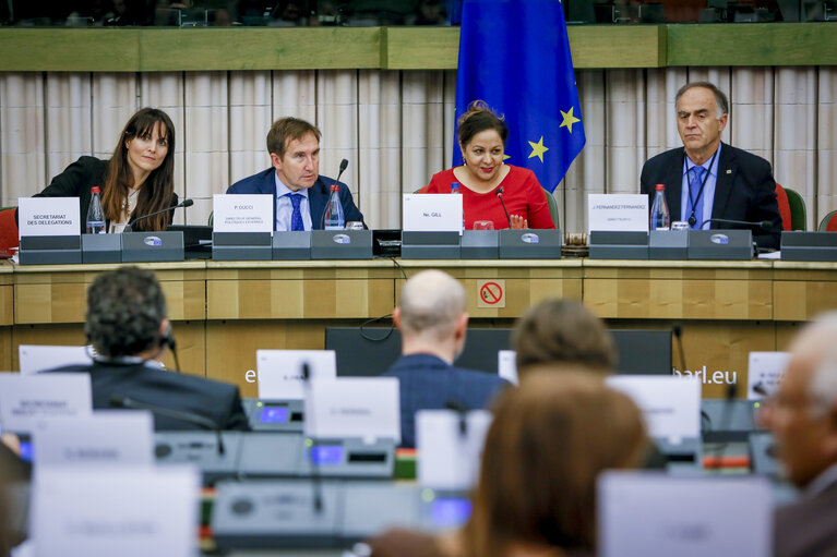 Foto 13: Meeting of the Conference of Delegation Chairs