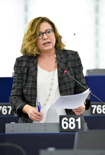 Fotografija 28: Plenary sessionGeneral budget of the European Union for 2020