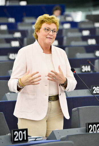 Fotografija 26: Plenary sessionGeneral budget of the European Union for 2020