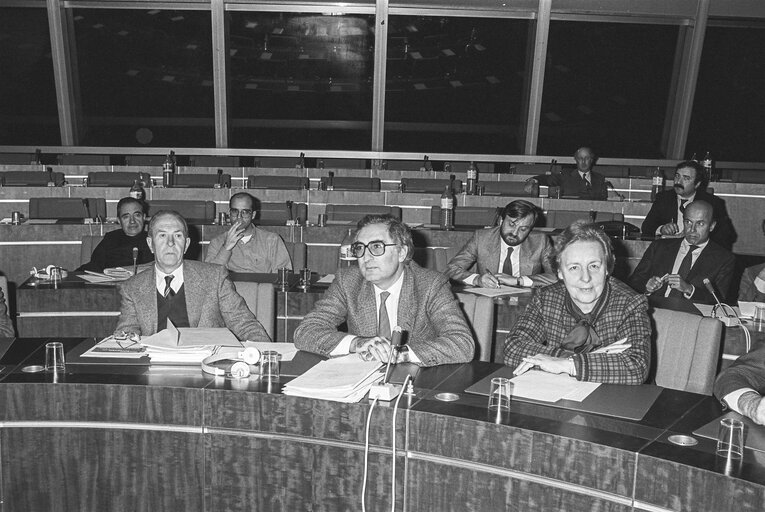 Valokuva 18: Meeting at the European Parliament in Strasbourg