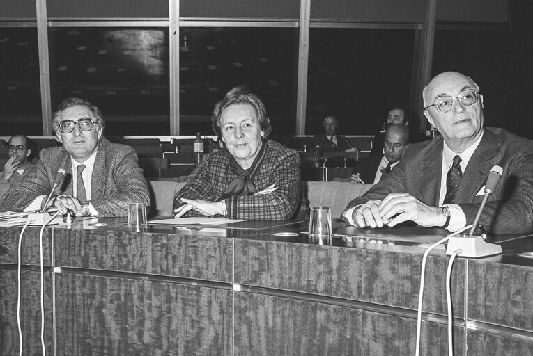 Φωτογραφία 17: Meeting at the European Parliament in Strasbourg