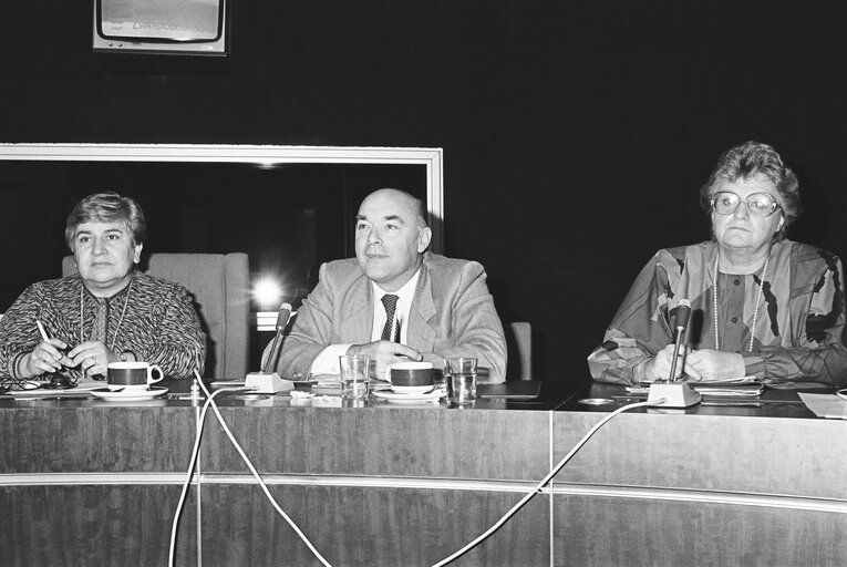 Foto 5: Meeting at the EP in Strasbourg.