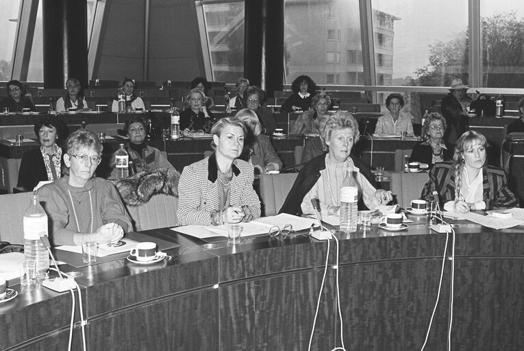 Meeting at the EP in Strasbourg.