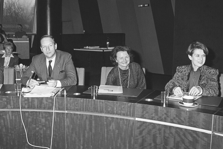 Foto 6: Meeting at the EP in Strasbourg.