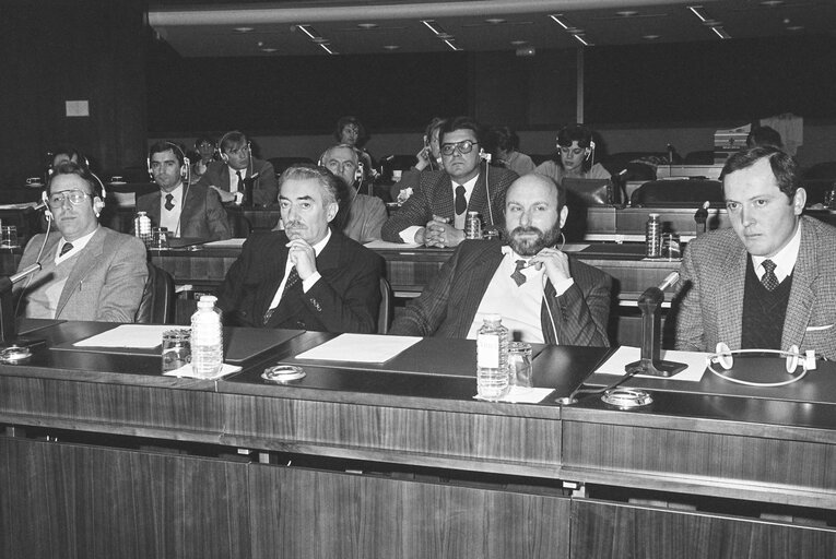 Foto 26: Meeting at the European Parliament in Strasbourg