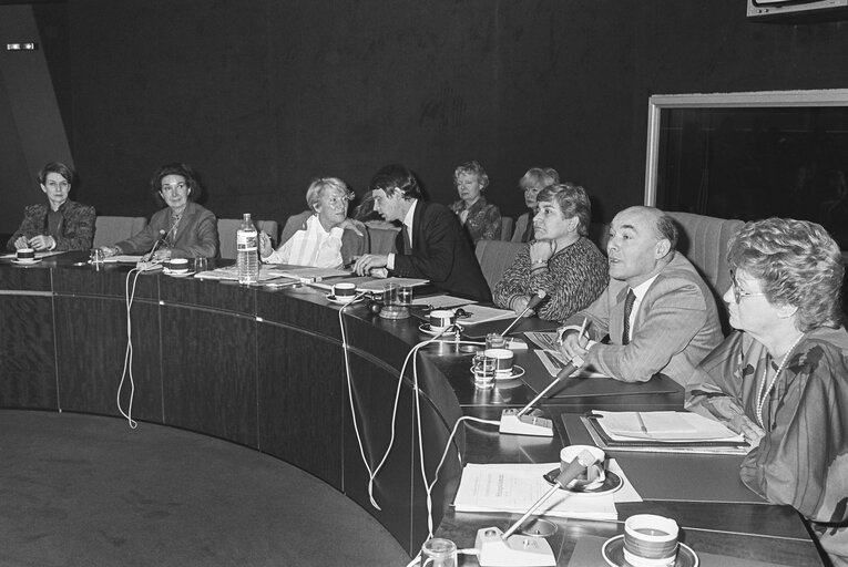 Φωτογραφία 3: Meeting at the EP in Strasbourg.