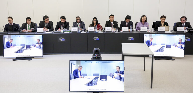 Photo 9 : Meeting of the Delegation for Relations with the countries of South Asia - Exchange of views with the Ambassadors of Bangladesh, Bhutan, Maldives, Nepal, Pakistan and Sri Lanka, and with representatives of the EEAS, on current relations between EU and their respective countries