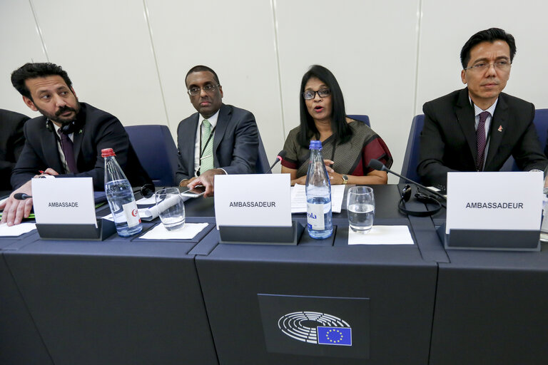 Photo 5 : Meeting of the Delegation for Relations with the countries of South Asia - Exchange of views with the Ambassadors of Bangladesh, Bhutan, Maldives, Nepal, Pakistan and Sri Lanka, and with representatives of the EEAS, on current relations between EU and their respective countries