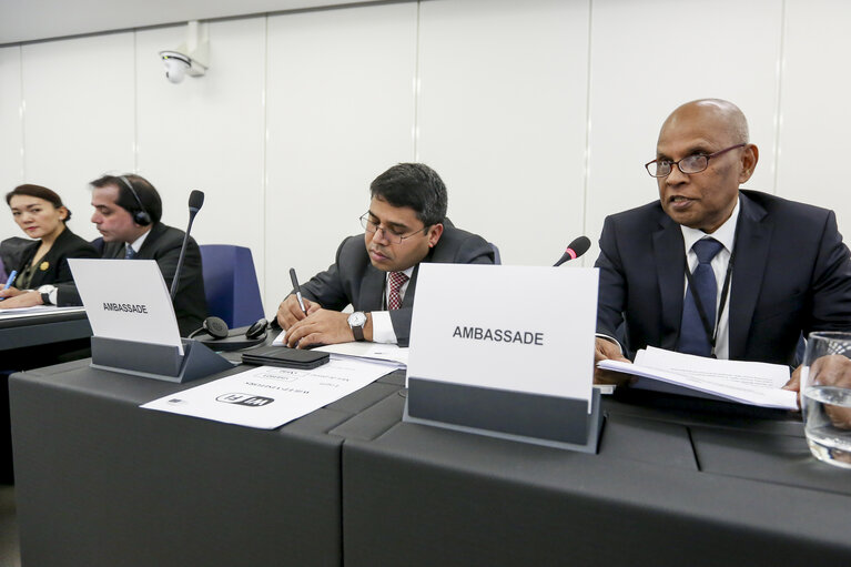 Photo 1 : Meeting of the Delegation for Relations with the countries of South Asia - Exchange of views with the Ambassadors of Bangladesh, Bhutan, Maldives, Nepal, Pakistan and Sri Lanka, and with representatives of the EEAS, on current relations between EU and their respective countries