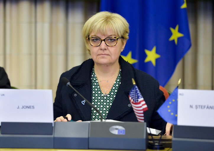 Meeting of the EP delegation for relations with the USA (D-US)