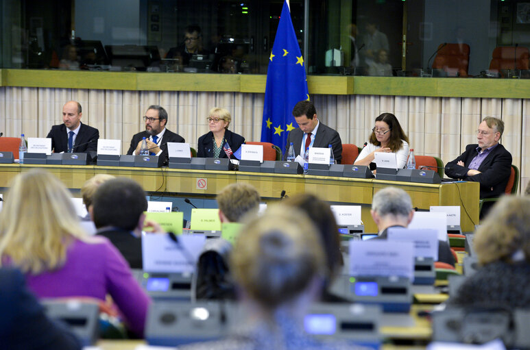 Billede 12: Meeting of the EP delegation for relations with the USA (D-US)