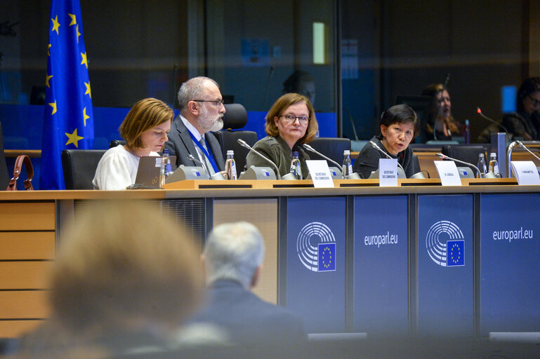 SEDE Subcommittee extraordinary meeting - Exchange of views with Izumi NAKAMITSU, UN Under-Secretary General and High-Representative for Disarmament Affairs