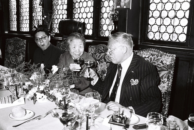 Madam DENG YINGCHAO, Head of the Delegation of the Chinese People’s National Assembly in Strasbourg