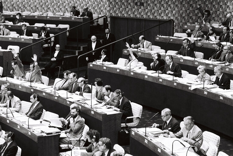 Plenary Session in LuxembourgVotes