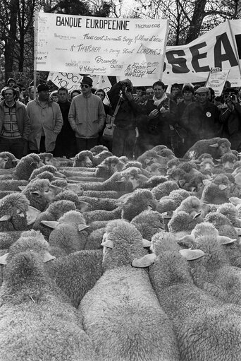 Shepherds and farmers protest outside the EP in Strasbourg in December 1985