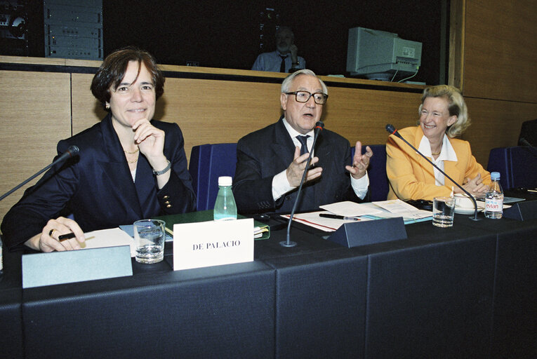 Fotografia 6: The MEP Loyola de Palacio del VALLE-LERSUNDI, Christian PONCELET, the President of the French Senate and Nicole FONTAINE EP President in Strasbourg in October 1999.