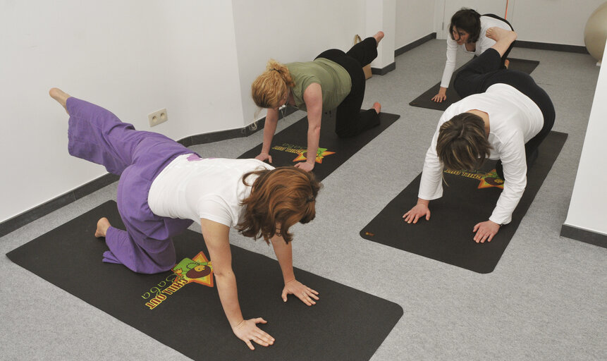 Nuotrauka 1: Pregnant women exercising with their coach