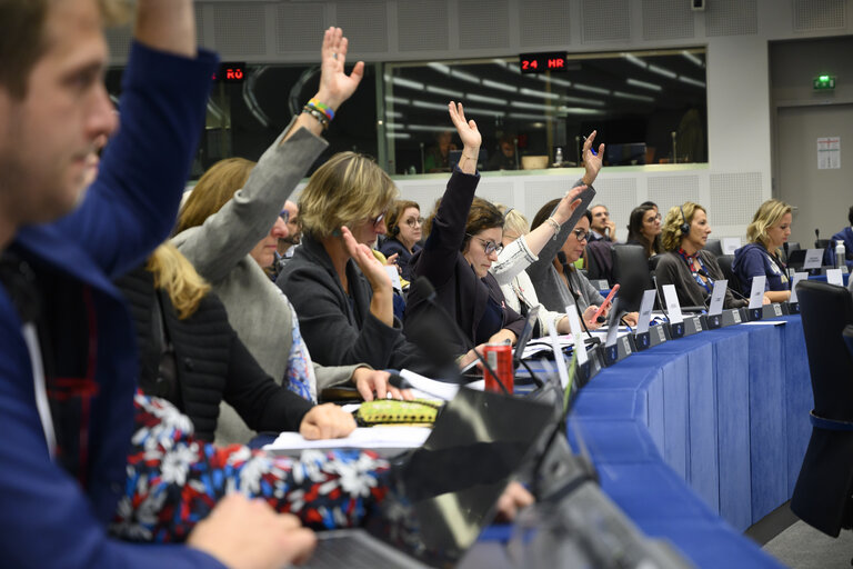 Fotogrāfija 6: ENVI Committee - Vote to adopt a draft resolution in view of the COP27