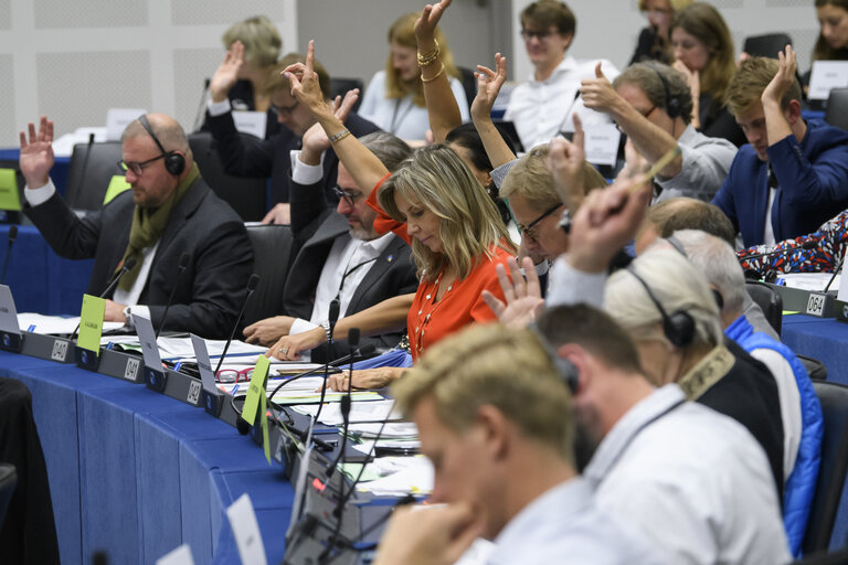 Fotogrāfija 3: ENVI Committee - Vote to adopt a draft resolution in view of the COP27