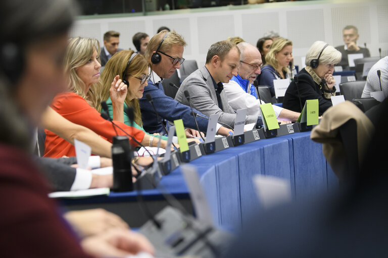 Fotogrāfija 14: ENVI Committee - Vote to adopt a draft resolution in view of the COP27