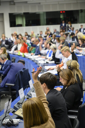 Fotogrāfija 2: ENVI Committee - Vote to adopt a draft resolution in view of the COP27