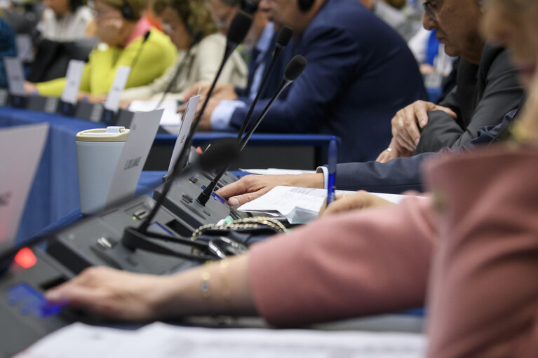 Fotogrāfija 10: ENVI Committee - Vote to adopt a draft resolution in view of the COP27