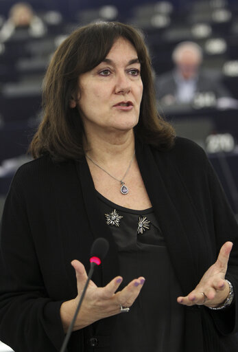 Plenary session week 7 2015 in Strasbourg