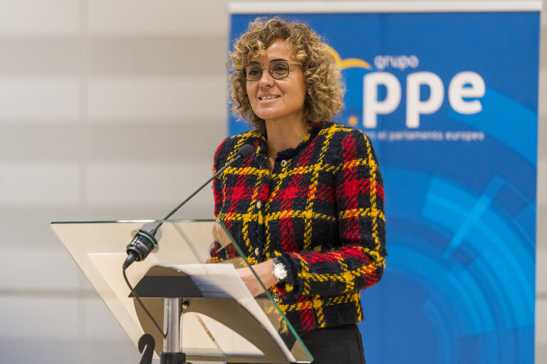 Photo 13: National Feast of Spain